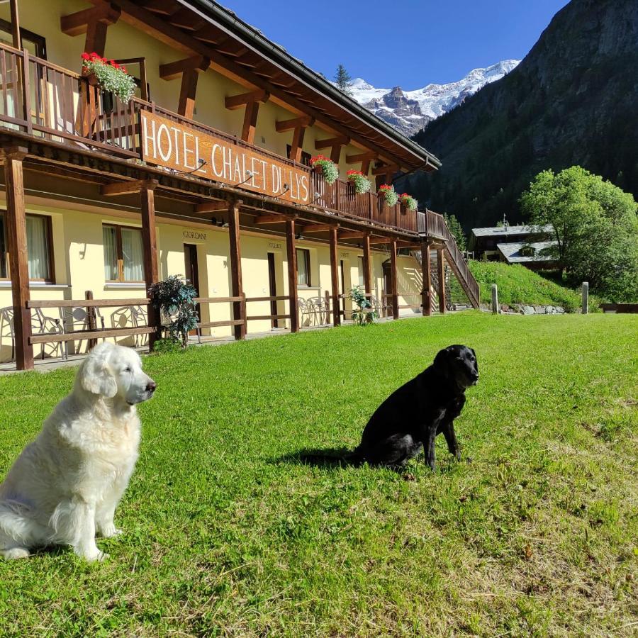 Chalet Du Lys Hotel & Spa Gressoney-la-Trinité Esterno foto