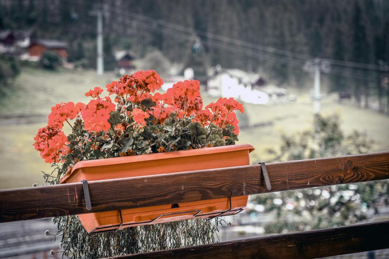 Chalet Du Lys Hotel & Spa Gressoney-la-Trinité Esterno foto